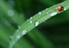 Storie di vita quotidiana al tempo del coronavirus #restiamotuttiacasaeraccontiamoci