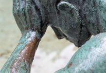 “Non siamo nati per soffrire”. La campagna di Cittadinanzattiva Non siamo nati per soffrire