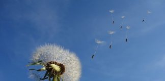 L’ AMORE NON VA AL POTERE #l'amorenonvaalpotere