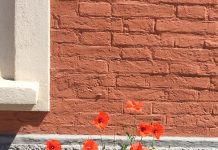 Nessun bonus ai caregiver familiari: salta il contributo di 600 euro