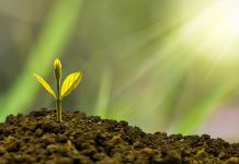 Caregiver: si sblocca il fondo di sostegno